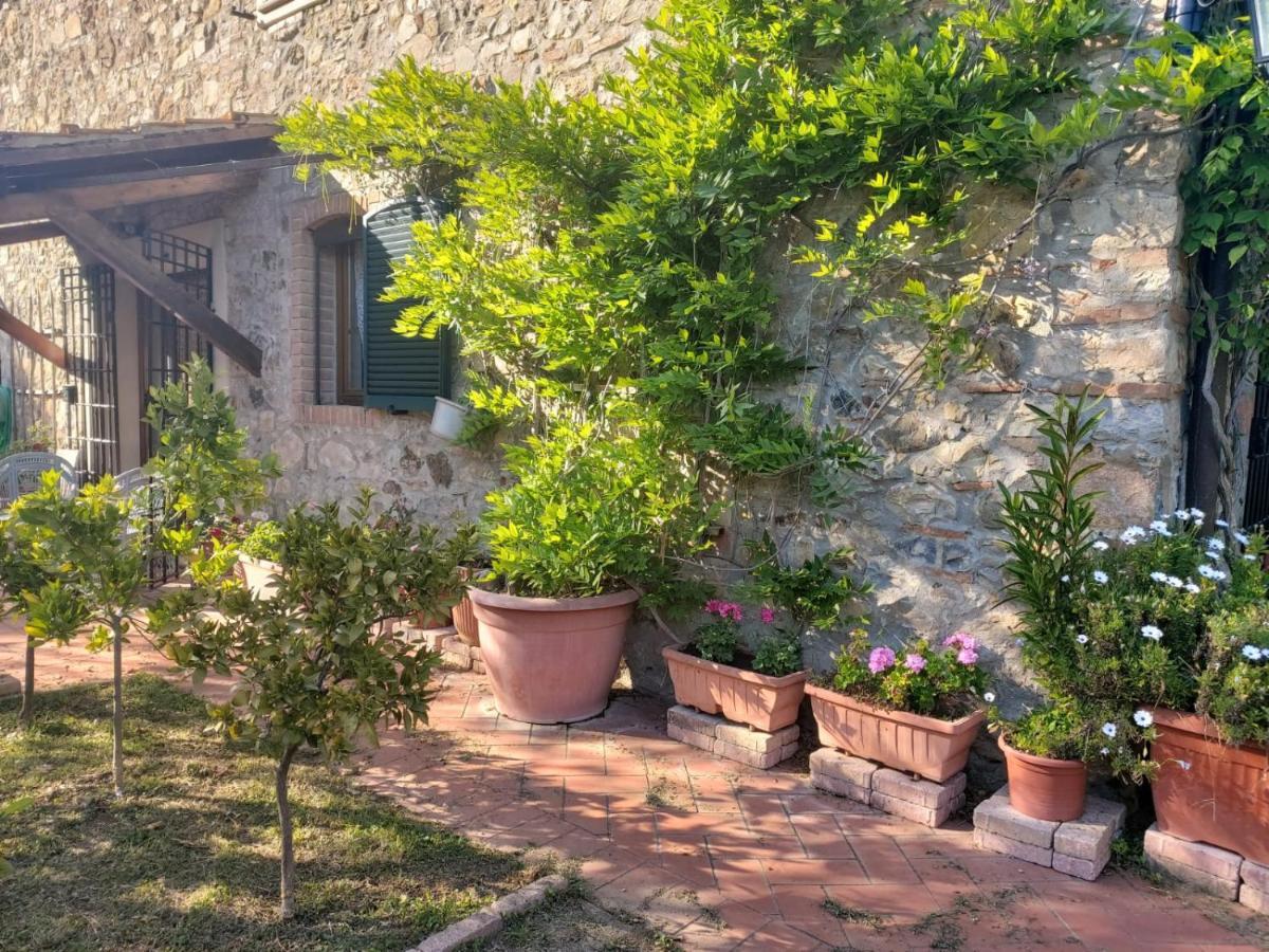 Willa Tenuta Santa Maria Campagnatico Zewnętrze zdjęcie
