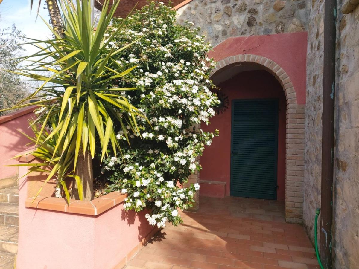 Willa Tenuta Santa Maria Campagnatico Zewnętrze zdjęcie