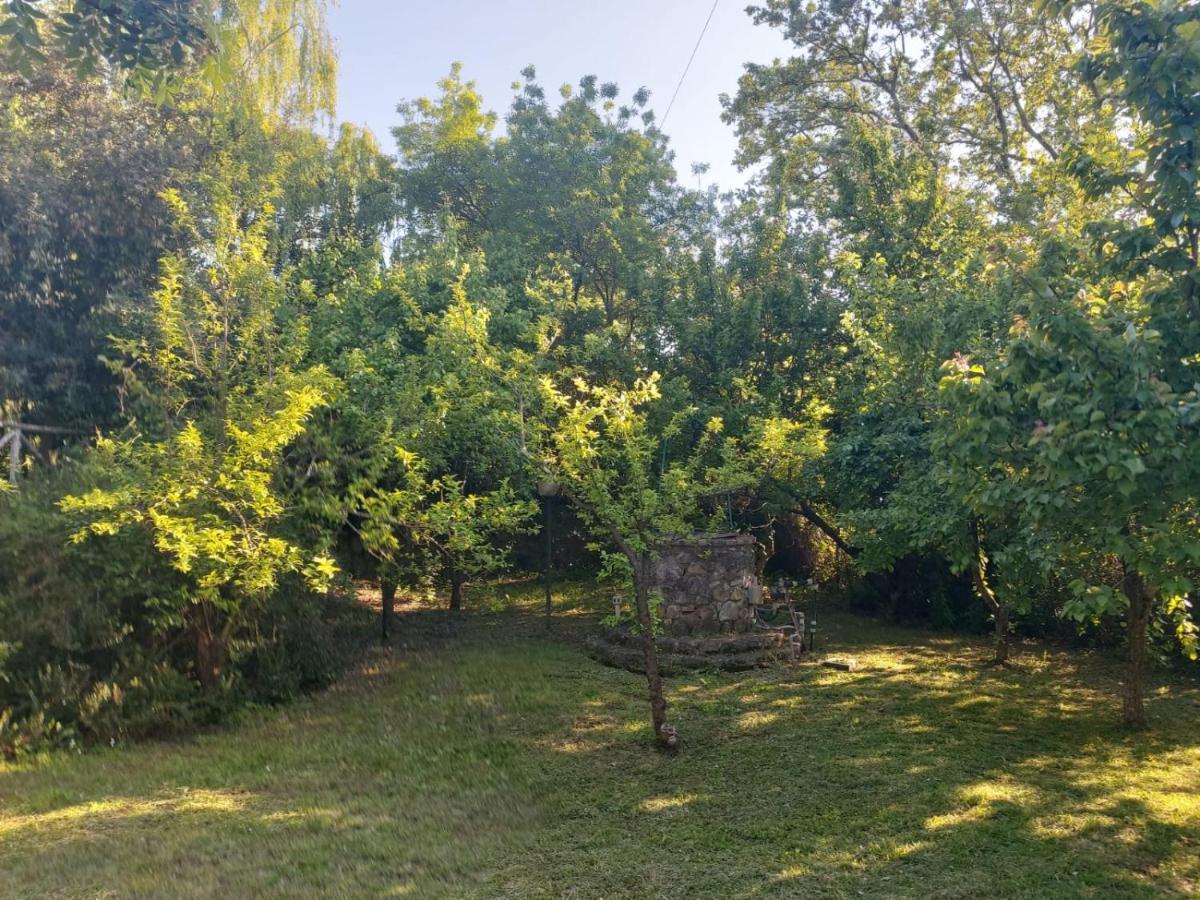 Willa Tenuta Santa Maria Campagnatico Zewnętrze zdjęcie