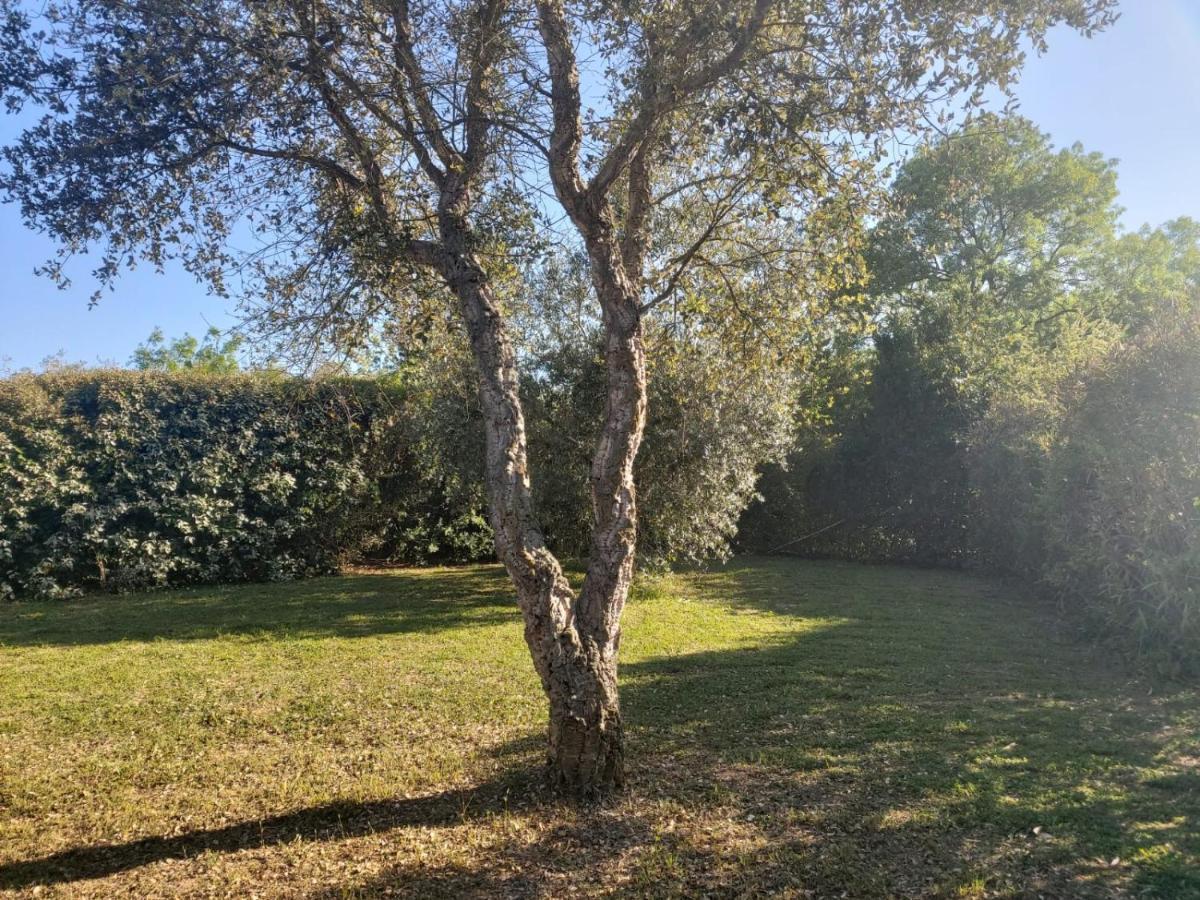Willa Tenuta Santa Maria Campagnatico Zewnętrze zdjęcie
