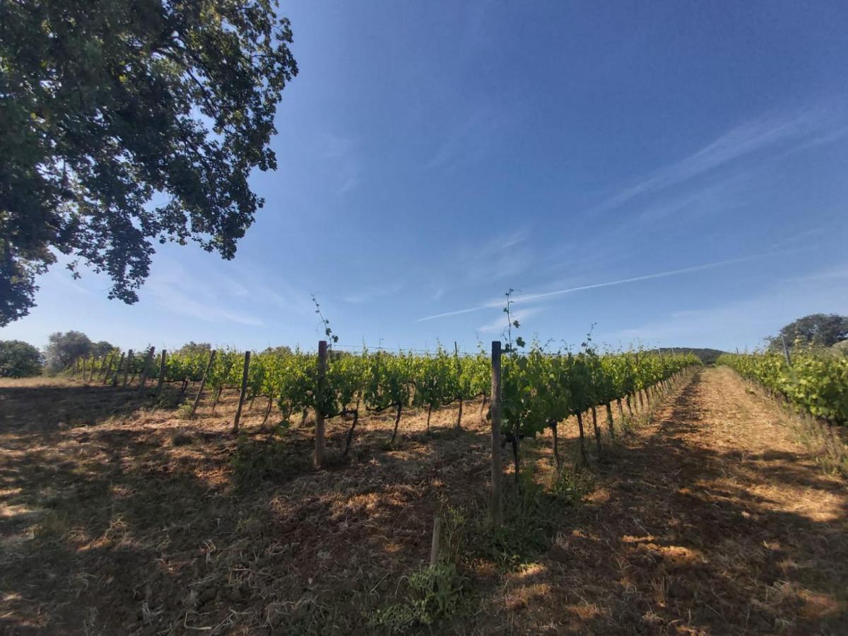 Willa Tenuta Santa Maria Campagnatico Zewnętrze zdjęcie